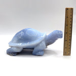 Blue Chalcedony Turtle Figurine - RAN529