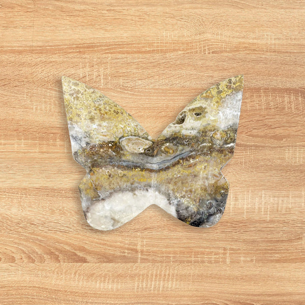 Bumble Bee Jasper Butterfly Carving Natural Handcrafted Crystal Decor for Home & Gift - RAN540