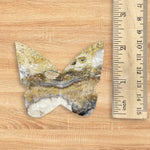Bumble Bee Jasper Butterfly Carving Natural Handcrafted Crystal Decor for Home & Gift - RAN540