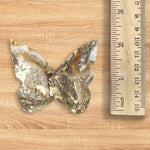 Maligano Jasper Butterfly Carving Natural Handcrafted Crystal Decor for Home & Gift - RAN545