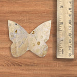 Fossilized Coral Butterfly Carving Natural Handcrafted Crystal Decor for Home & Gift - RAN553