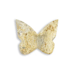 Fossilized Coral Butterfly Carving Natural Handcrafted Crystal Decor for Home & Gift - RAN555