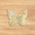 Fossilized Coral Butterfly Carving Natural Handcrafted Crystal Decor for Home & Gift - RAN555