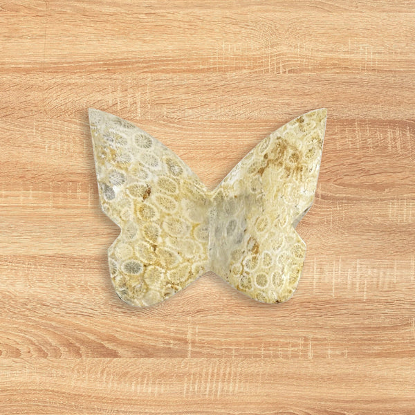 Fossilized Coral Butterfly Carving Natural Handcrafted Crystal Decor for Home & Gift - RAN555
