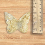 Fossilized Coral Butterfly Carving Natural Handcrafted Crystal Decor for Home & Gift - RAN555