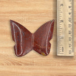 Red Jasper Butterfly Carving Natural Handcrafted Crystal Decor for Home & Gift - RAN562