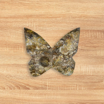 Bumble Bee Jasper Butterfly Carving Natural Handcrafted Crystal Decor for Home & Gift - RAN566