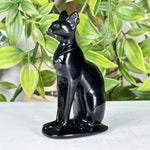 Black Obsidian Cat Figurine - RAN570