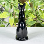 Black Obsidian Cat Figurine - RAN570