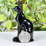 Black Obsidian Cat Figurine - RAN570