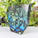 Labradorite Gemstone Lion Sculpture- RAN572