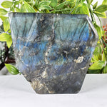 Labradorite Gemstone Lion Sculpture- RAN572