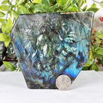 Labradorite Gemstone Lion Sculpture- RAN572