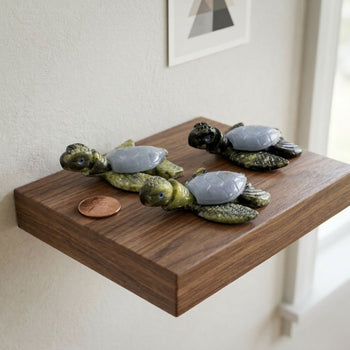 Angelite & Serpentine Turtle Figurine - RAN574