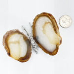 Agate Gemstone Butterfly Figurine - RAN587
