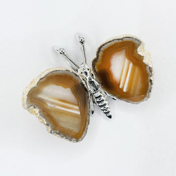 Agate Butterfly Crystal Figurine - Gem Avenue Retail