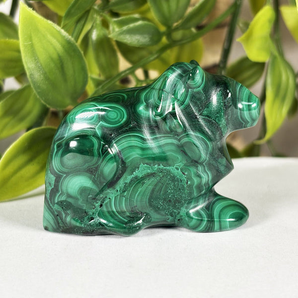 Malachite Frog Crystal Animal Figurine - Gem Avenue Retail