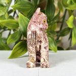 Soapstone Cat Gemstone Figurine - RAN594