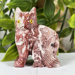 Soapstone Gemstone Cat Figurine - RAN596