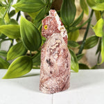 Soapstone Gemstone Cat Figurine - RAN596