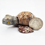 Soapstone Gemstone Turtle Figurine - RAN597