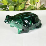 Malachite Gemstone Frog Figurine - RAN602