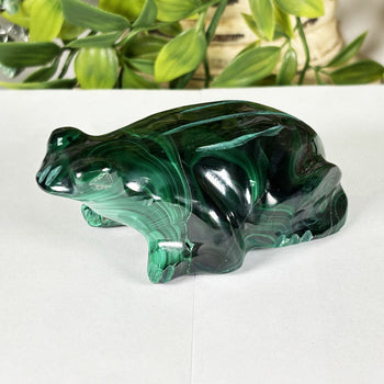 Malachite Gemstone Frog Figurine - Gem Avenue Wholesale