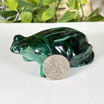 Malachite Gemstone Frog Figurine - RAN602