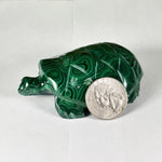 Malachite Gemstone Turtle Figurine - RAN603