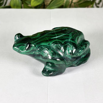 Malachite Gemstone Frog Figurine - Gem Avenue Wholesale