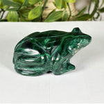 Malachite Gemstone Frog Figurine - RAN604