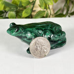 Malachite Gemstone Frog Figurine - RAN604