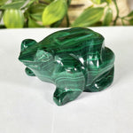 Malachite Gemstone Frog Figurine - RAN605