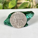 Malachite Gemstone Frog Figurine - RAN606