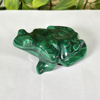 Malachite Gemstone Frog Figurine - Gem Avenue Wholesale