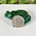 Malachite Gemstone Frog Figurine - RAN610