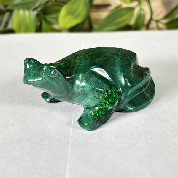 Malachite Crystal Frog Figurine - Gem Avenue Wholesale