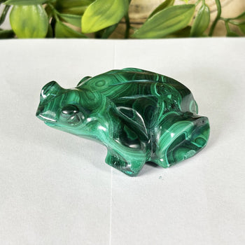Malachite Crystal Frog Figurine - Gem Avenue Retail