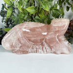 Rose Quartz Gemstone Lizard Figurine - RAN617