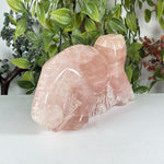Rose Quartz Gemstone Lizard Figurine - RAN617