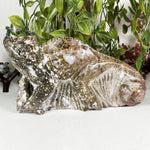Sea Jasper Gemstone Lizard Figurine - RAN618