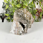 Sea Jasper Gemstone Lizard Figurine - RAN618