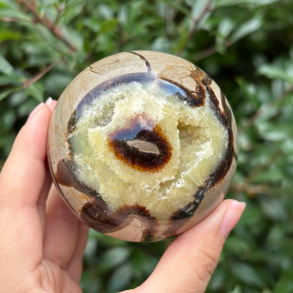 Natural Polished Septarian Sphere Dragon Stone Crystal Ball for Healing, Meditation & Home Decor - RBL346