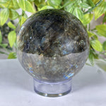 Labradorite Gemstone Sphere - RBL361