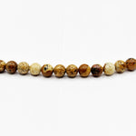 Picture Jasper Gemstone Bead Strand - RBS010