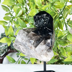 Smoky Quartz Crystal Point - RCR471