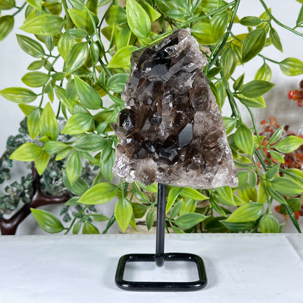 Smoky Quartz Crystal Point - RCR474
