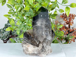 Smoky Quartz Crystal Point  - RCR475