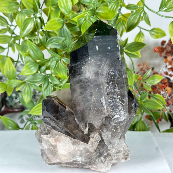 Smoky Quartz Crystal Point  - RCR475