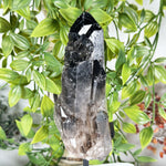 Natural Smoky Quartz Crystal Tower on Stand Polished Healing Stone Display Specimen